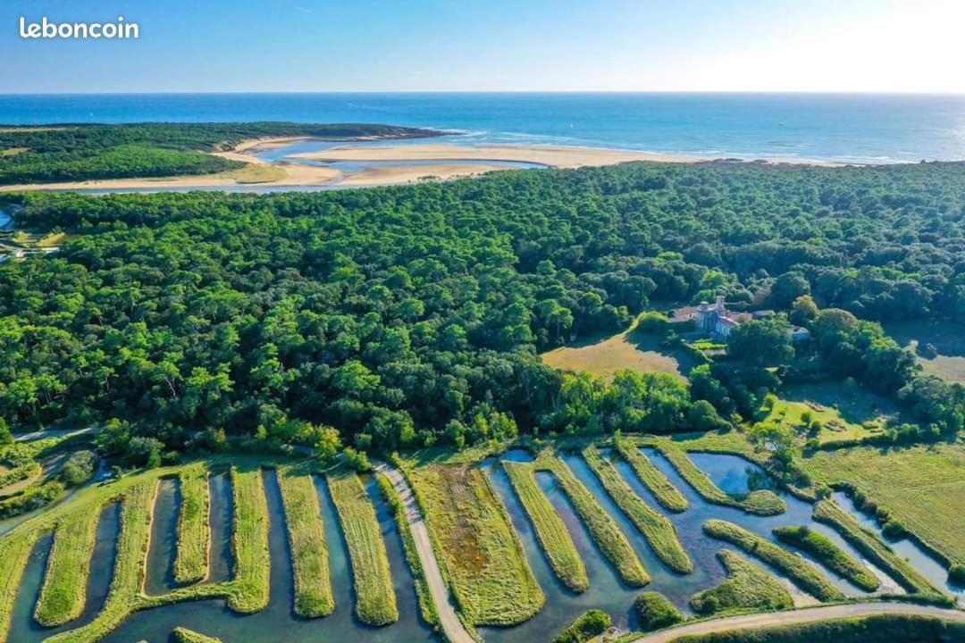 Charmant T2 au coeur du golf de port Bourgenay Talmont-Saint-Hilaire Extérieur photo